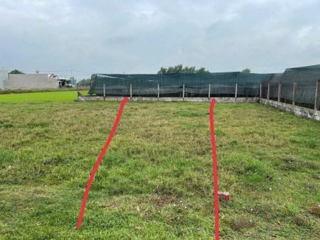 Bán nhanh trong tháng lô đất 110m², đường ôtô – Sổ hồng riêng, chỉ 670 triệu