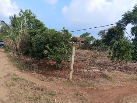Cơ hội đầu tư vàng, giá siêu ngộp – Quốc lộ 29, xã Ea Dah, Krông Năng, Đắk Lắk