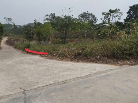 Chính chủ đất đầu tư sinh lời. Địa chỉ Xã phúc trìu - Tp thái nguyên. Dt 100m2