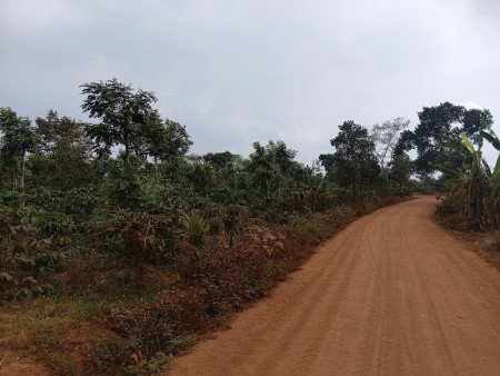 Đi đến slide 5