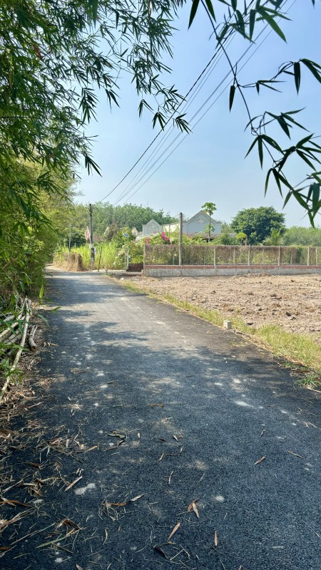 300 triệu mua ngay 10 mét ngang mặt tiền đường Hương Lộ 2 phường Lộc Hưng Trảng Bàng sổ hồng