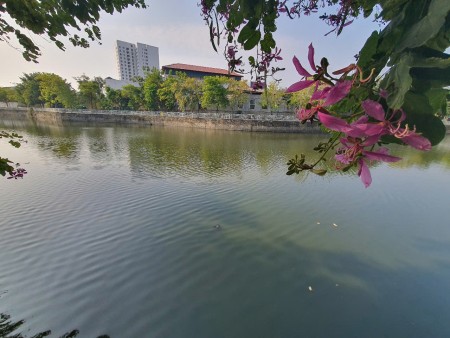 Đi đến slide 5