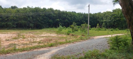 Bán đất Bình Dương (cạnh KCN Mỹ Phước 3 - Bến Cát); 5x53m (thổ cư 100m2); tiện xây dựng; 1,45 tỷ