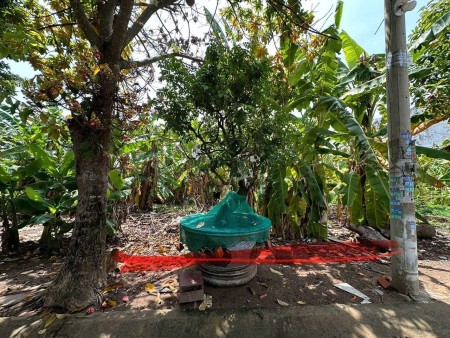 Bán đất Quận 9 (đường Cầu Đình - Long Phước); 4x20,7m; tiện xây dựng; sổ đỏ; 3 tỷ