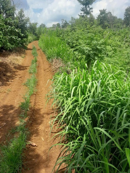 Cơ hội đầu tư, sổ đỏ riêng, giá trị tăng cao. 10X50 Phường Thống Nhất, Buôn Hồ, Đắk Lắk