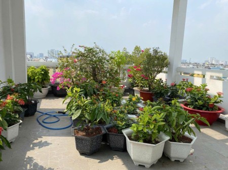 Ảnh 2 - Cần cho thuê nguyên căn mặt tiền 3/2 giá tốt kết cấu 7…