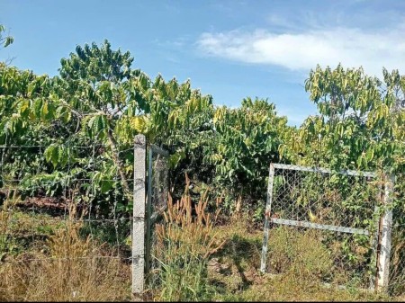 Cần xử lí đất vườn ở An Tây Bến Cát