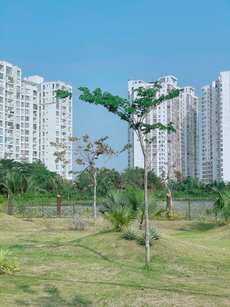 Đi đến slide 6