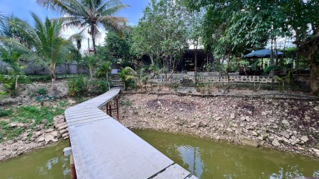 Đi đến slide 8