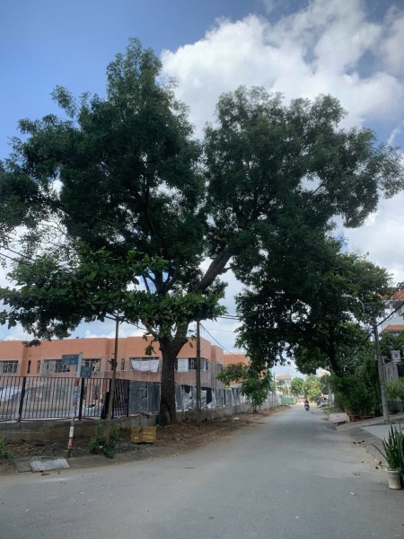 Đi đến slide 17