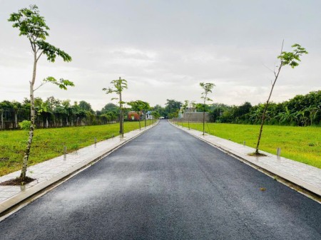 Đi đến slide 6
