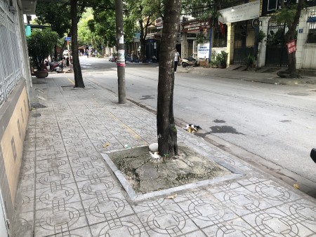 Ảnh 2 - Chủ nhà cho thuê tầng 2 làm văn phòng