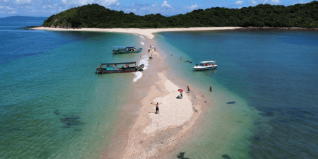 Đi đến slide 7