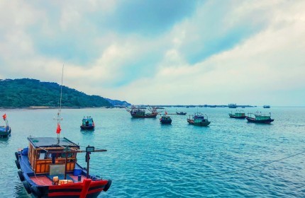 Đi đến slide 6