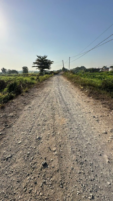 Tôi cần bán - đất Hóc Môn, giá chỉ: 2 triệu/m2