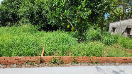 Chính chủ cần bán 120m2 đất ở, bên cạnh dự án Vin 810ha
