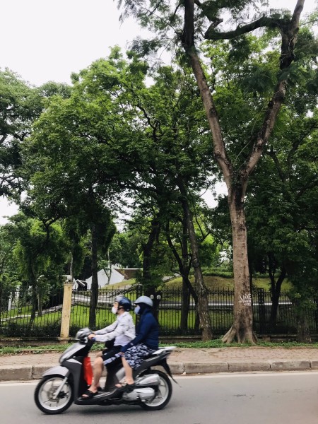 NHÀ ĐẸP HOÀNG HOA THÁM, TRUNG TÂM TÂY HỒ - DT 27M2, 4.2 TỶ - AN SINH TUYỆT VỜI