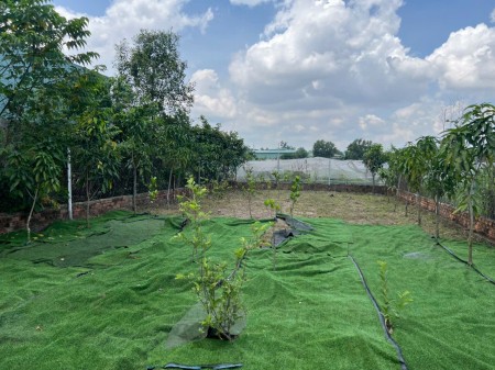 Bán 228m2 Đất gần chợ thiện Tân Vĩnh Cửu đồng Nai