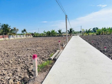 Bán nhanh đất đẹp thổ cư tại đường DT833, Bình Lãng, Tân Trụ DT 100m2, giá 700 triệu