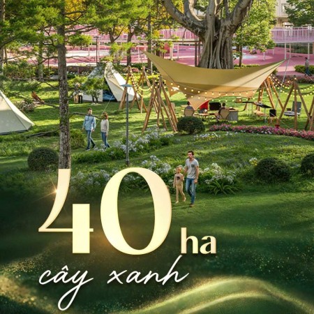 Đi đến slide 7