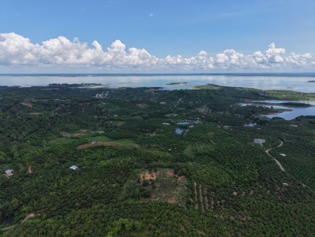 Đất Đẹp La Ngà – Sổ Riêng, View Chill, Đường Ô Tô – Chính Chủ Sang Nhượng