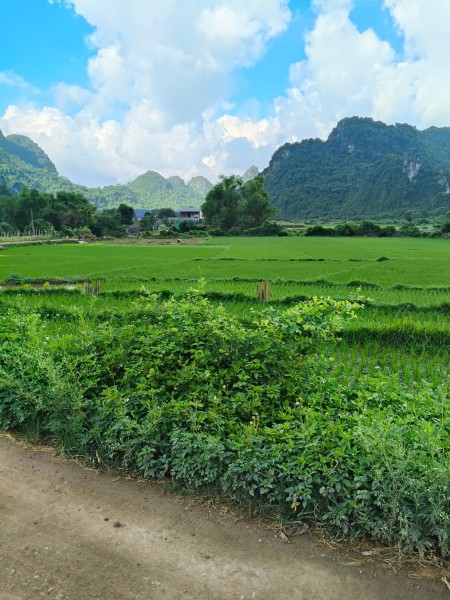 Đi đến slide 2