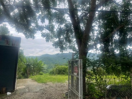 Nhà đất ở trung tâm thành phố Điện Biên