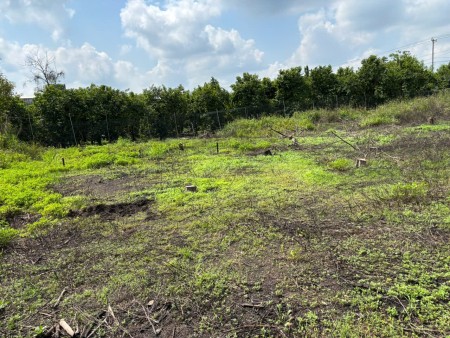 Cần nhượng lại lô đất 5.000m2 Ngọc Định - có suối, ô tô tới nơi, giá chỉ 290 triệu/sào