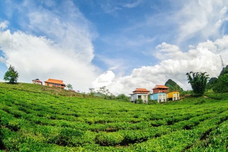 Đi đến slide 2