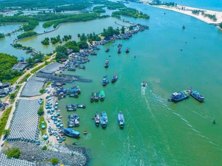 Đi đến slide 7
