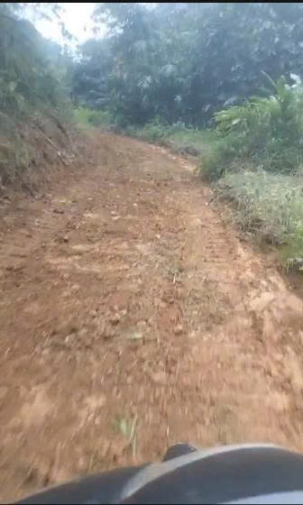 Diện tích đất trong sổ 10ha, ngoài sổ 5ha, đất rsx, chính chủ tại Liên Sơn, Lương Sơn, Hoà Bình