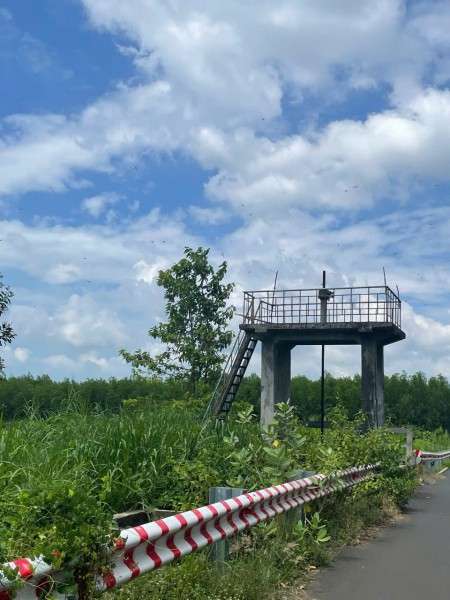 Đi đến slide 5