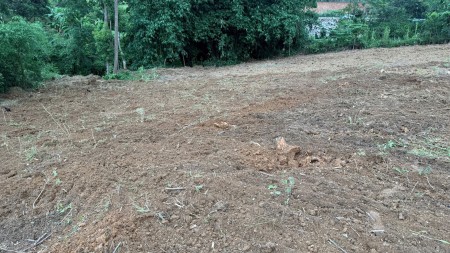Chỉ 900k/m2 đất bám đường liên xã tại Lạc Thủy gần nhà máy in tiền, cách cáp treo Chùa Tiên chỉ 3km