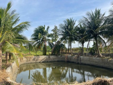 Ảnh 4 - Bán gấp lô đất gần 10.000m² tại Hàm Kiệm – Gần nút giao…