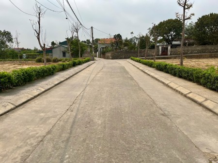 Đất vàng Đông Triều, full thổ cư, sổ hồng trao tay