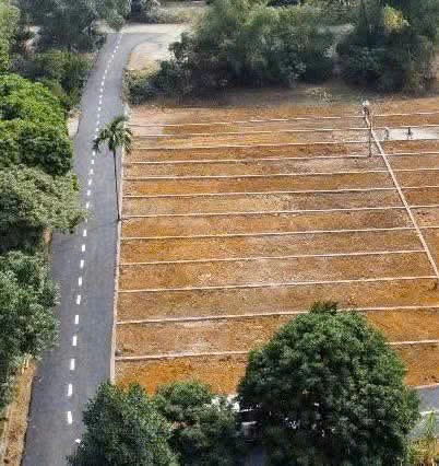 Chỉ hơn 200 triệu có ngay 1 suất đầu tư tại Hòa Bình (Phú Thọ)