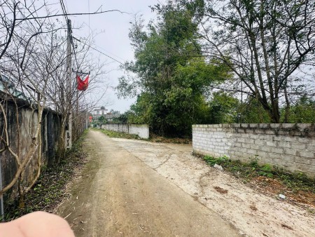 Bán đất 252m2 ở Đường số 21, Xã Nhuận Trạch, Lương Sơn,…