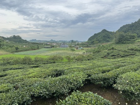 Cơ Hội Đầu Tư – Đất Vàng Chiềng Đi