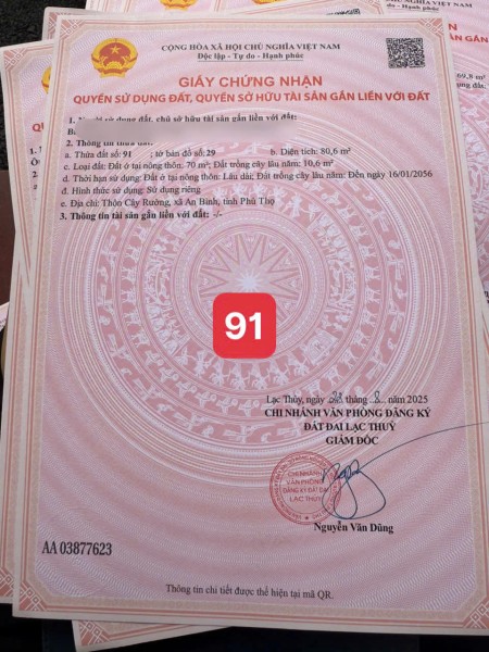Sở hữu đất đẹp, giá rẻ – trung tâm An Bình, tiềm năng…