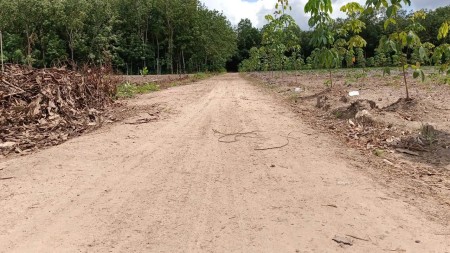 Chính chủ kẹt tiền – Bán gấp 7 lô đất trung tâm Tân Châu…