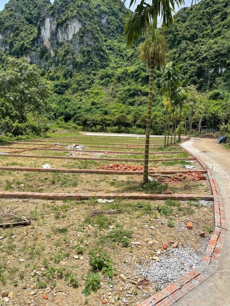 Chính chủ – Đầu tư đất giá chỉ 3XX triệu, sát KCN Thanh…