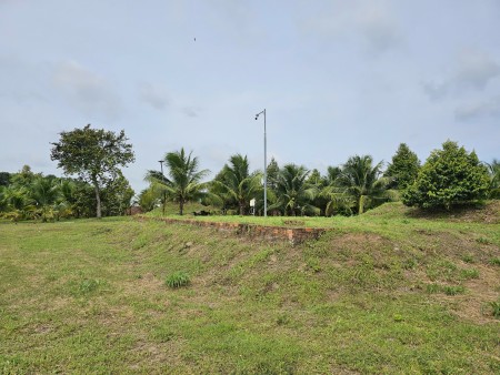 Bán 1500m2 đất Nhơn Trạch, Đồng Nai CHỈ 8 TRIỆU/M2 làm biệt…