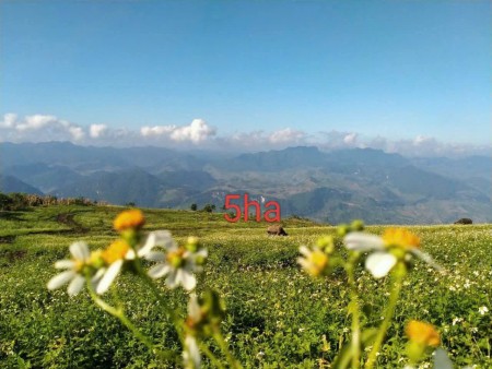 Ảnh 1 - SIÊU PHẨM VIEW ĐẸP HƠN CẢ TÀ XÙA TẠI KHU DU LỊCH HANG TÁU