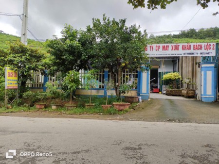 CHO THUÊ ĐẤT LÀM MẶT BẰNG KINH DOANH, KHO, XƯỞNG – VỊ TRÍ ĐẸP, GIAO THÔNG THUẬN TIỆN