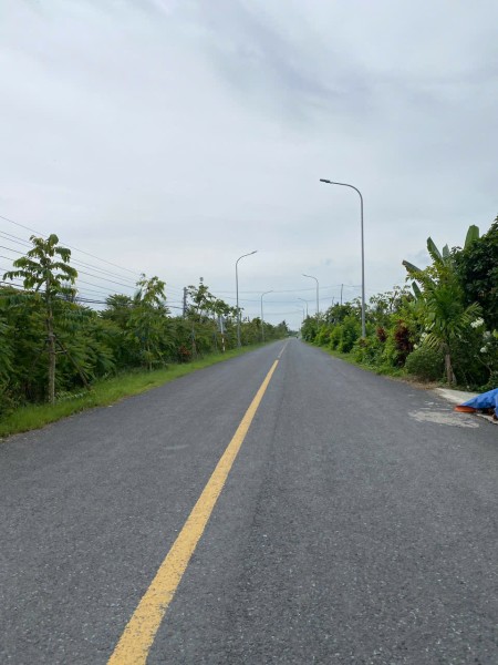 1 Triệu/m2 CHỦ BÁN 4200M2 ĐẤT TÂN PHÚ THỊ XÃ CAI LẬY TIỀN GIANG