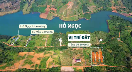 ĐẤT VIEW HỒ NGỌC, PHƯỜNG 2 BẢO LỘC – 2.594m² (700m² thổ…