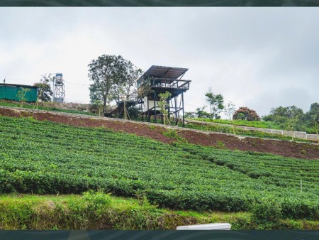 Đi đến slide 5