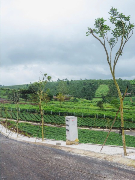 Đi đến slide 4