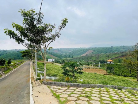 Đầu tư sinh lời cao với NaLi Chill - Homestay and BBQ – Vị trí vàng, pháp lý minh bạch