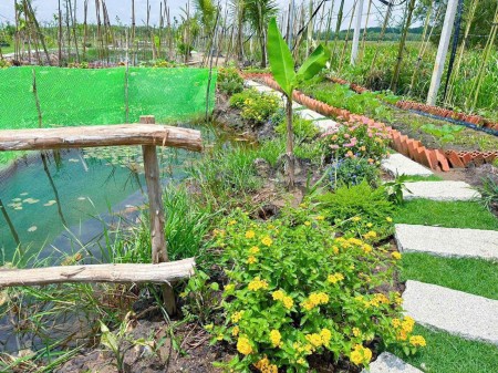 Bể nợ ngân hàng cần bán miếng đất vườn hơn 8200m2 giá 420tr